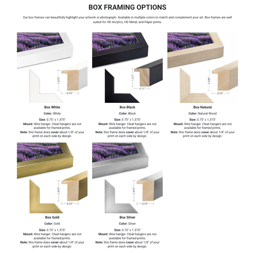 artbeat studios framing options