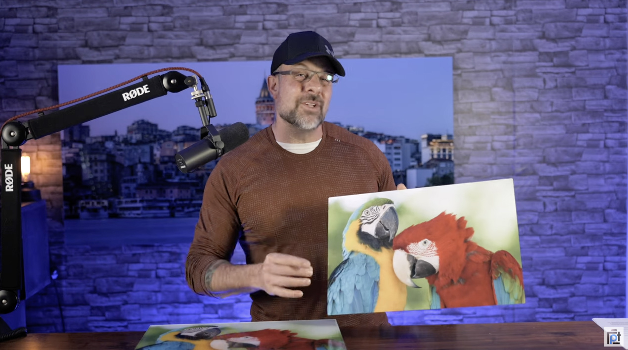 artbeat studios hd metal parrot