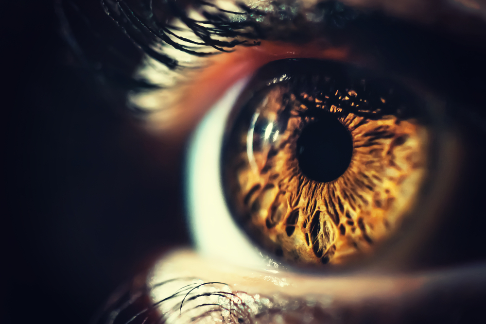 Human eye iris close up