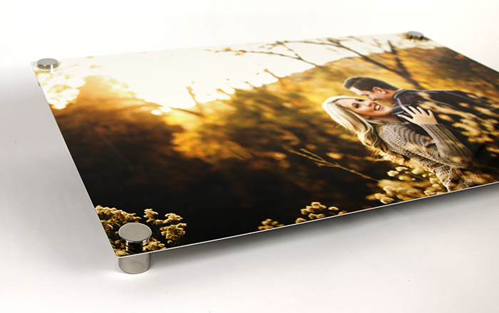 LumaPrints Metal Print