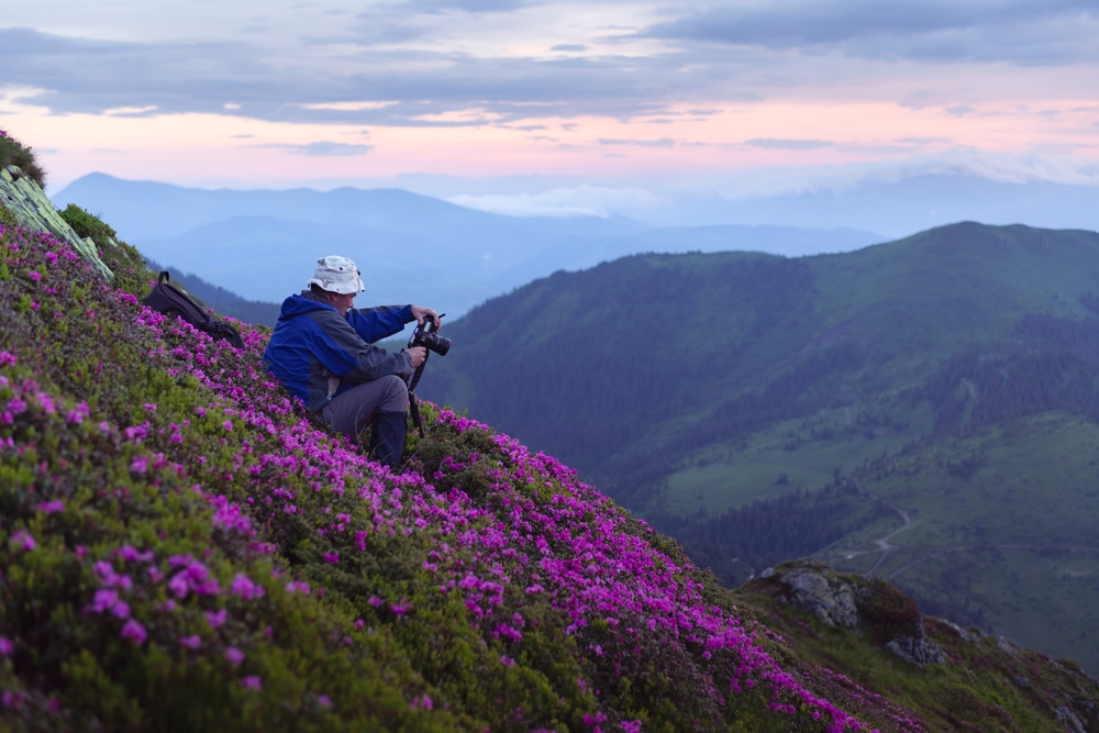 Photographer surrounded by purple flowers on a mountain slope