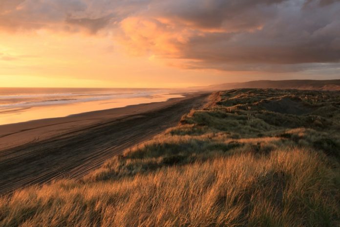 Sunset over ocean sand dunes and sea grass